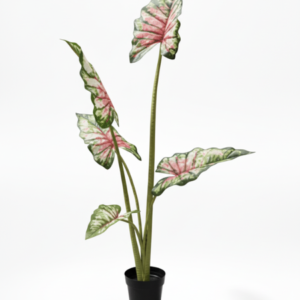 Artificial Angel Wings Tree 145cm Pink – 5 Branches and Leaves with Plastic Pot