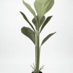 Artificial Fan Palm Tree Leaves | Nigeria Wholesaler Of Fake Plants