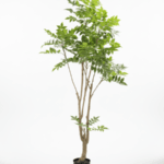 Artificial Fern Tree Plant 180cm – Realistic & Low-Maintenance