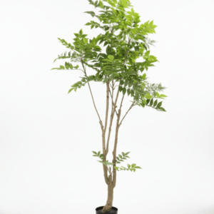 Artificial Fern Tree Plant 180cm – Realistic & Low-Maintenance
