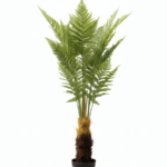 Artificial Fern Tree Plant – Enhance Your Space with Life-like Elegance