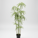 Artificial Graptopetalum Plants Tree – 125cm |Timeless Beauty, Zero Maintenance