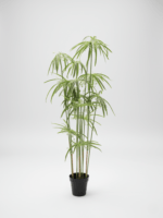 Artificial Graptopetalum Plants Tree – 125cm |Timeless Beauty, Zero Maintenance