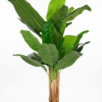 Artificial Indoor Decor Trees/Plants | Faux Three Stem Banana Tree