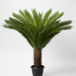 Artificial Indoor Palm Plants | Nigeria Wholesaler Of Fake Plants