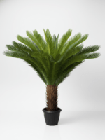 Artificial Indoor Palm Plants | Nigeria Wholesaler Of Fake Plants