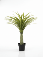 Artificial Mini Yucca Plant | Nigeria No1 Plants/Flowers Wholesaler
