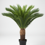 Artificial Palm Cycas Plants For Interior | Bulk Sales Of Fake Plant Nigeria