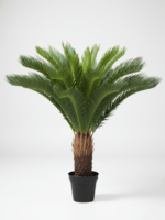 Artificial Palm Cycas Plants For Interior | Bulk Sales Of Fake Plant Nigeria