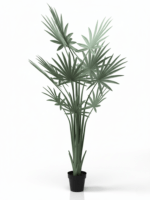 Artificial Palm Plant 160cm Green – 6 Branches, 8 Leaves with Plastic Pot