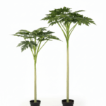 Artificial Papaya Plant in Nigeria – Pawpaw Tree Wholesale Price
