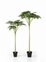 Artificial Papaya Plant in Nigeria – Pawpaw Tree Wholesale Price