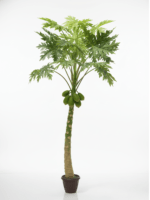 Artificial Papaya Tree For Outdoor Décor