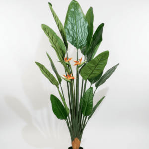 Artificial Paradise Bird Plants For Interior Designer | Height - 200cm