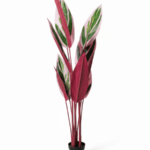 Artificial Plant/Flower For Indoor Decor | Shop Colorful Skybird Plant