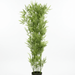 Artificial Plants/Trees Wholesaler In Nigeria | Tiny Bamboo Plants