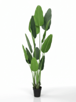 Artificial Traveler Banana Plant – Height:200cm