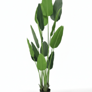 Artificial Traveler Banana Plant – Height:200cm