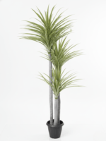 Artificial Yucca Plant For Interior Decor | Shop Fake Plants/Flowers Now
