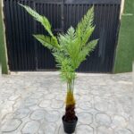 Artificial Fern Tree Plant – Enhance Your Space with Life-like Elegance - Image 2