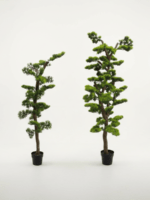 Artificial Bonsai Trees 150cm & 180cm | Luxury Indoor Decorative Plants in Nigeria