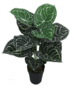 MINI TARO ARTIFICIAL PLANTS | MINI PLANT WHOLESALE  | "Buy Now" - Image 3