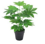 ARTIFICIAL JAPANESE FATSIA PLANTS | PLANTS SALES | ORDER NOW - Image 2