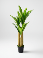 FAKE DRACAENA PLANTS - PLANTS FOR COMMERCIAL SPACES