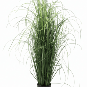 FAUX REED GRASS PLANT | ONLINE PLANTS WHOLSESALE |Buy Now