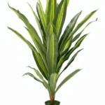 FAUX SINGLE DRACAENA PLANTS | DECORATIVE ARTIFICIAL PLANT
