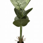 Fan Palm Leaves Plant | Wholesale Of Artificial Plants And Flowers