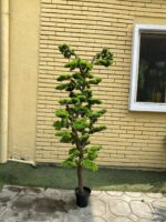 Artificial Bonsai Trees 150cm & 180cm | Luxury Indoor Decorative Plants in Nigeria - Image 2
