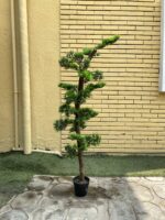 Artificial Bonsai Trees 150cm & 180cm | Luxury Indoor Decorative Plants in Nigeria - Image 5