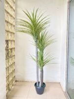 Artificial Yucca Plant For Interior Decor | Shop Fake Plants/Flowers Now - Image 2