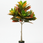 INDOOR FAUX TREE AND PLANT | BULK SALES OF BANYAN PLANTS