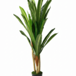 INTERIOR ARTIFICIAL PLANT | BUY THREE STEMS DRACAENA PLANT