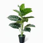 MINI TARO ARTIFICIAL PLANTS | MINI PLANT WHOLESALE  | "Buy Now"