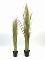Modern Artificial Reed Plants with Brown Flowers – 90cm & 120cm Decorative Pieces