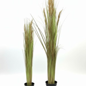 Modern Artificial Reed Plants with Brown Flowers – 90cm & 120cm Decorative Pieces