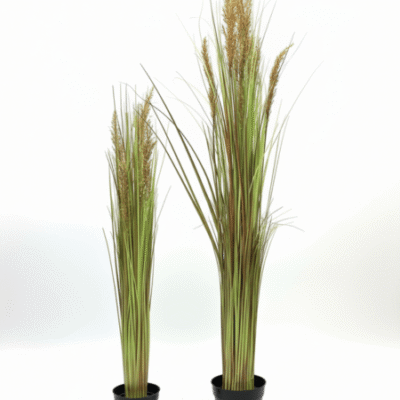 Modern Artificial Reed Plants with Brown Flowers – 90cm & 120cm Decorative Pieces