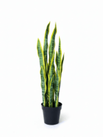 Modern Artificial Snake Plant for Indoor Décor – Available in Small and Big Sizes