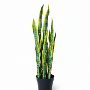 Modern Artificial Snake Plant for Indoor Décor – Available in Small and Big Sizes