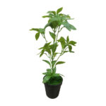 Fake Mini Indoor Plants | Wholesale Of Artificial Sarcandra Plant - Image 3