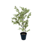 Artificial Tabletop Mini Plants/Flowers | Mini Potted Plants For Interior Design - Image 3