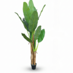 OUTDOOR ARTIFICIAL BANANA TREE | ONLINE PLANT WHOLESALES