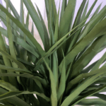 Artificial Mini Yucca Plant | Nigeria No1 Plants/Flowers Wholesaler - Image 5