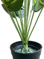 ARTIFICIAL HOUSEPLANTS | GREEN APPLE PLANTS | "Buy Now" - Image 3