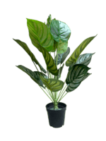 ARTIFICIAL HOUSEPLANTS | GREEN APPLE PLANTS | "Buy Now" - Image 2