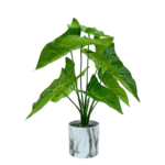 TABLETOP ARTIFICIAL PLANTS | FAUX CALADIUM PLANT| SHOP NOW - Image 2