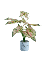 TABLETOP ARTIFICIAL PLANTS | FAUX CALADIUM PLANT| SHOP NOW - Image 4